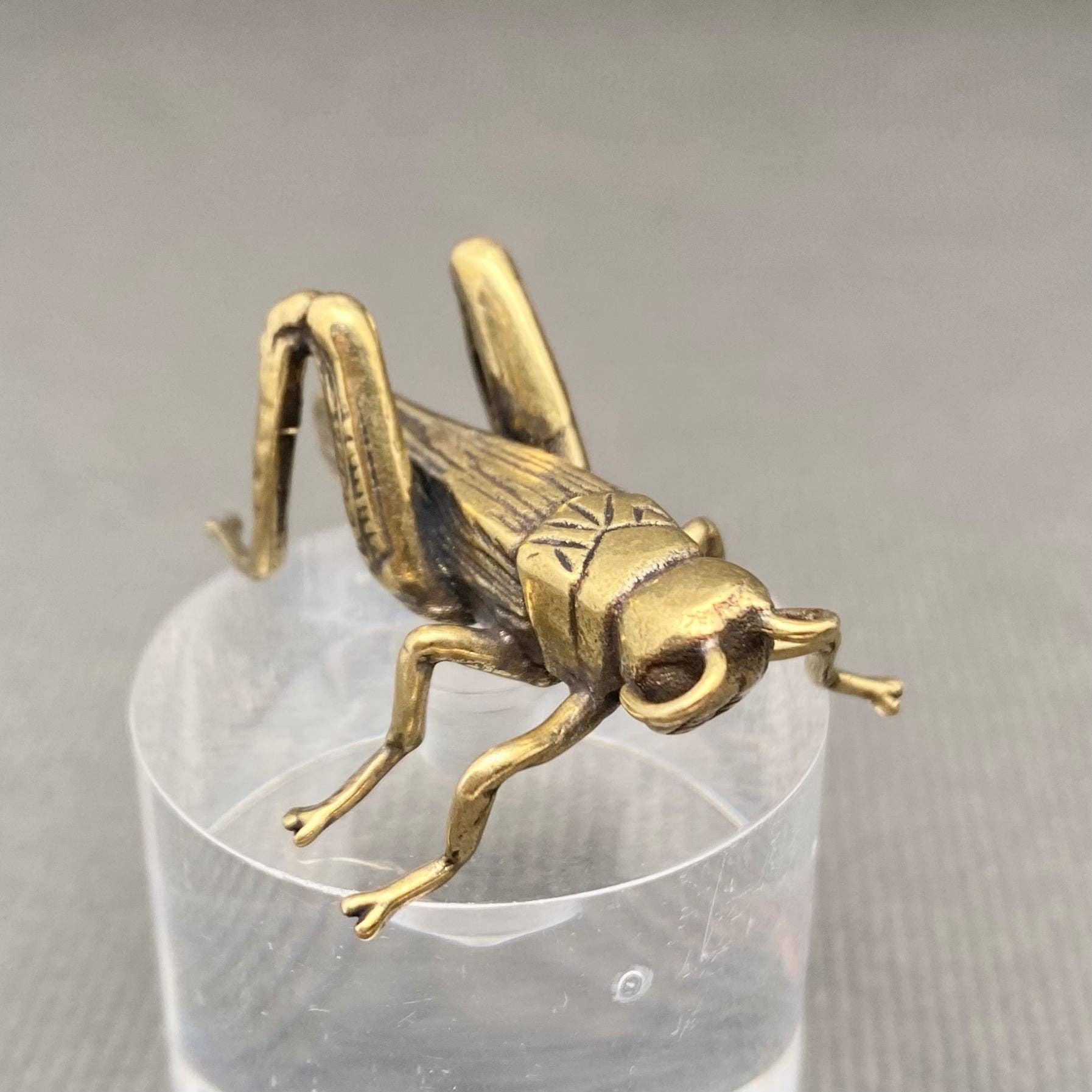 Brass Cricket