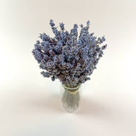 Light Blue Lavender – Naturally Air-Dried Florals