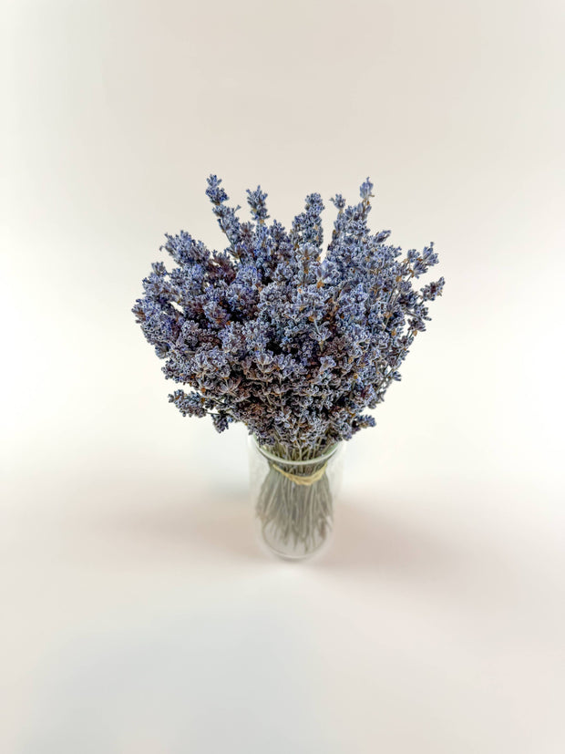 Light Blue Lavender – Naturally Air-Dried Florals