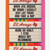 Magnet Set - Adulting