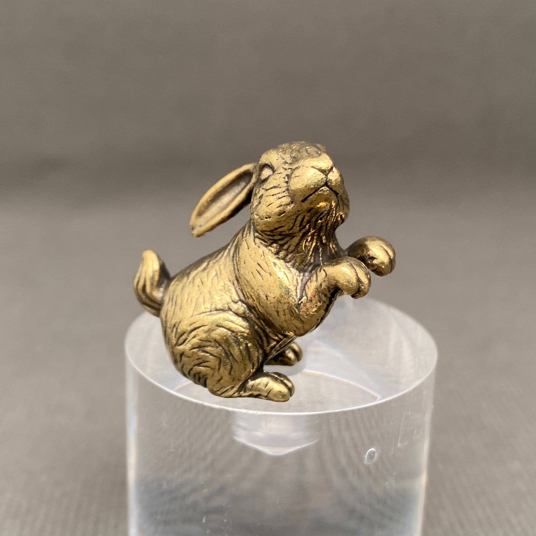 Brass Bunny