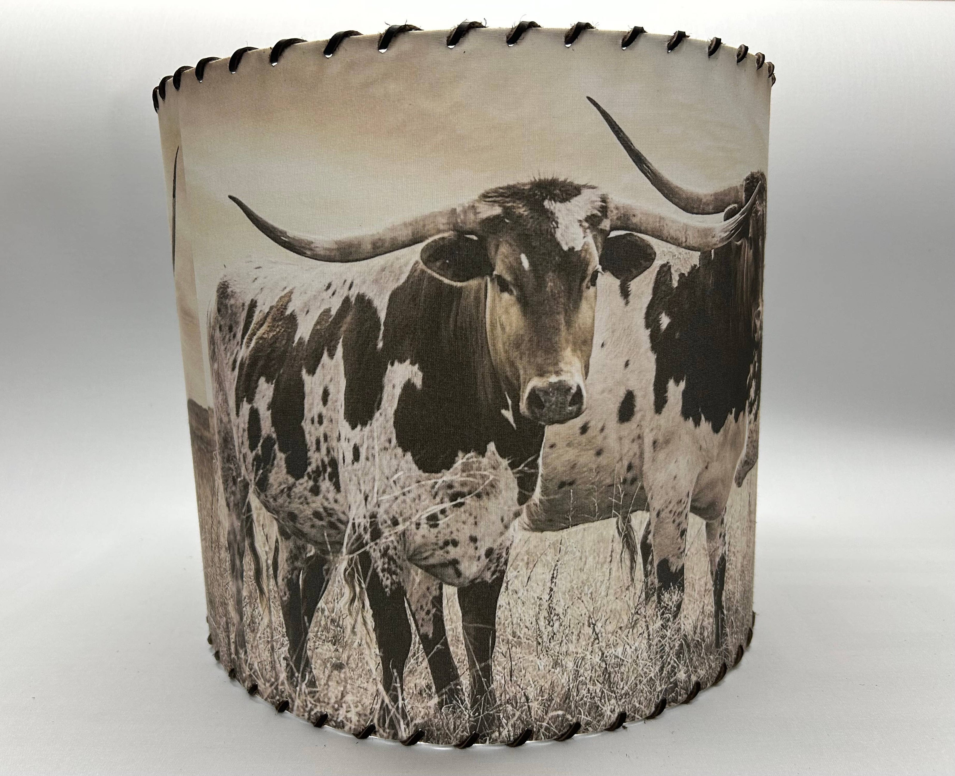 Lampshade Longhorn Trio, 8-inch