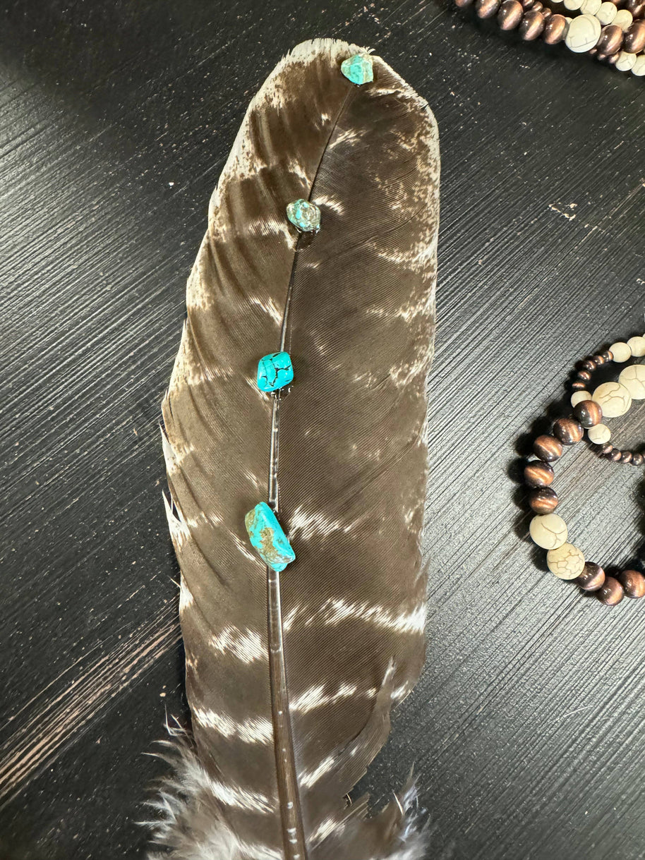 Turquoise Studded Natural Barred Turkey Feathers