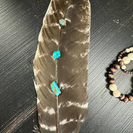 Turquoise Studded Natural Barred Turkey Feathers