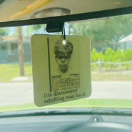 Big House Air Freshener, Car Freshener, There are two...