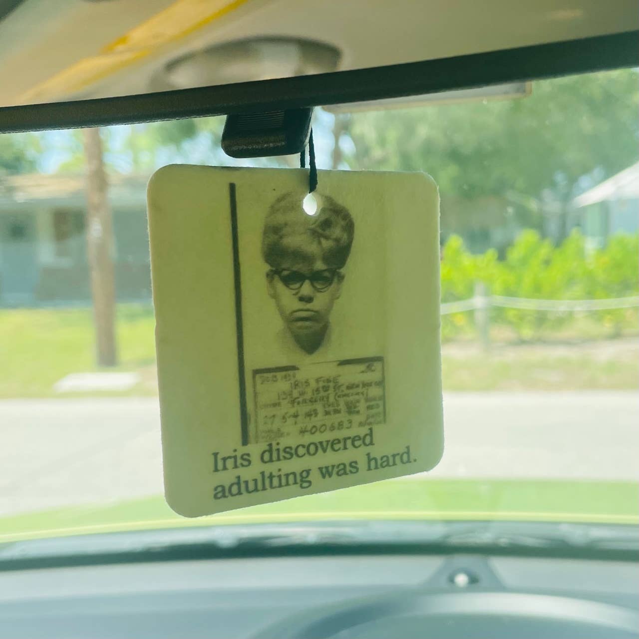 Big House Air Freshener, Car Freshener, Agnes knows where...