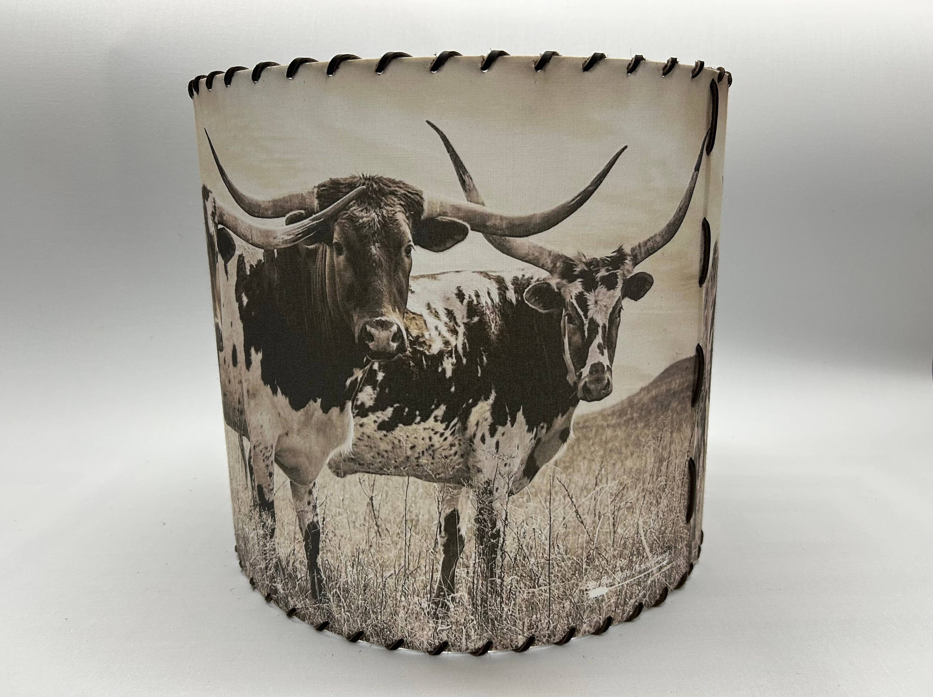 Lampshade Longhorn Trio, 14-inch
