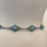 Arizona Belt