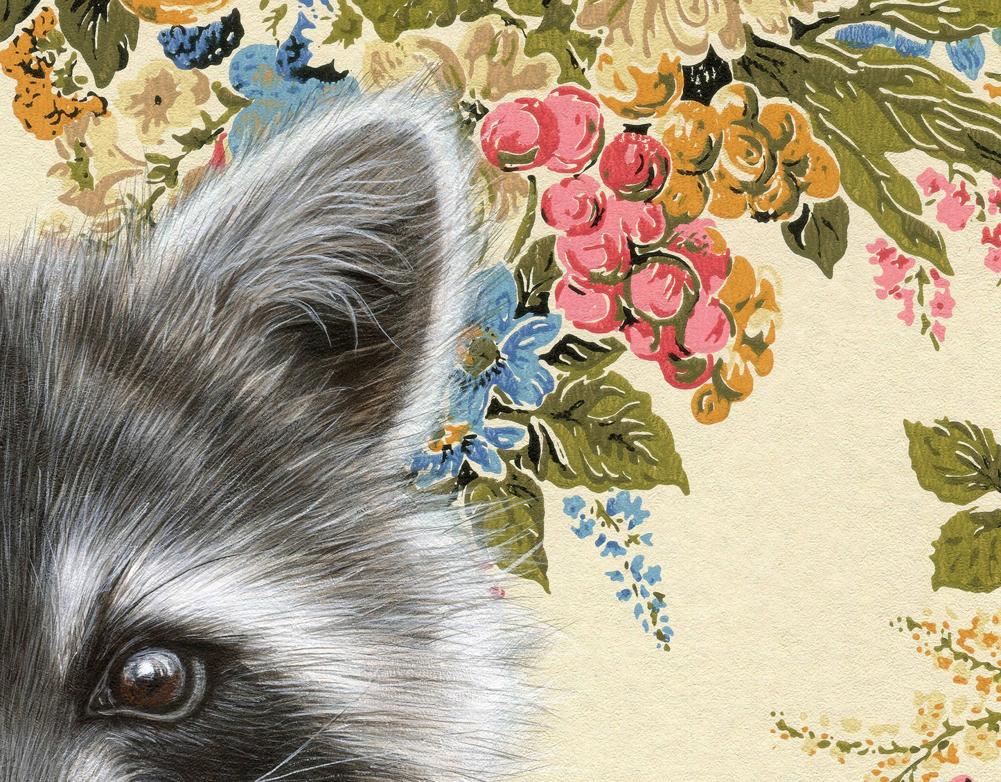 Raccoon Fine Art Print