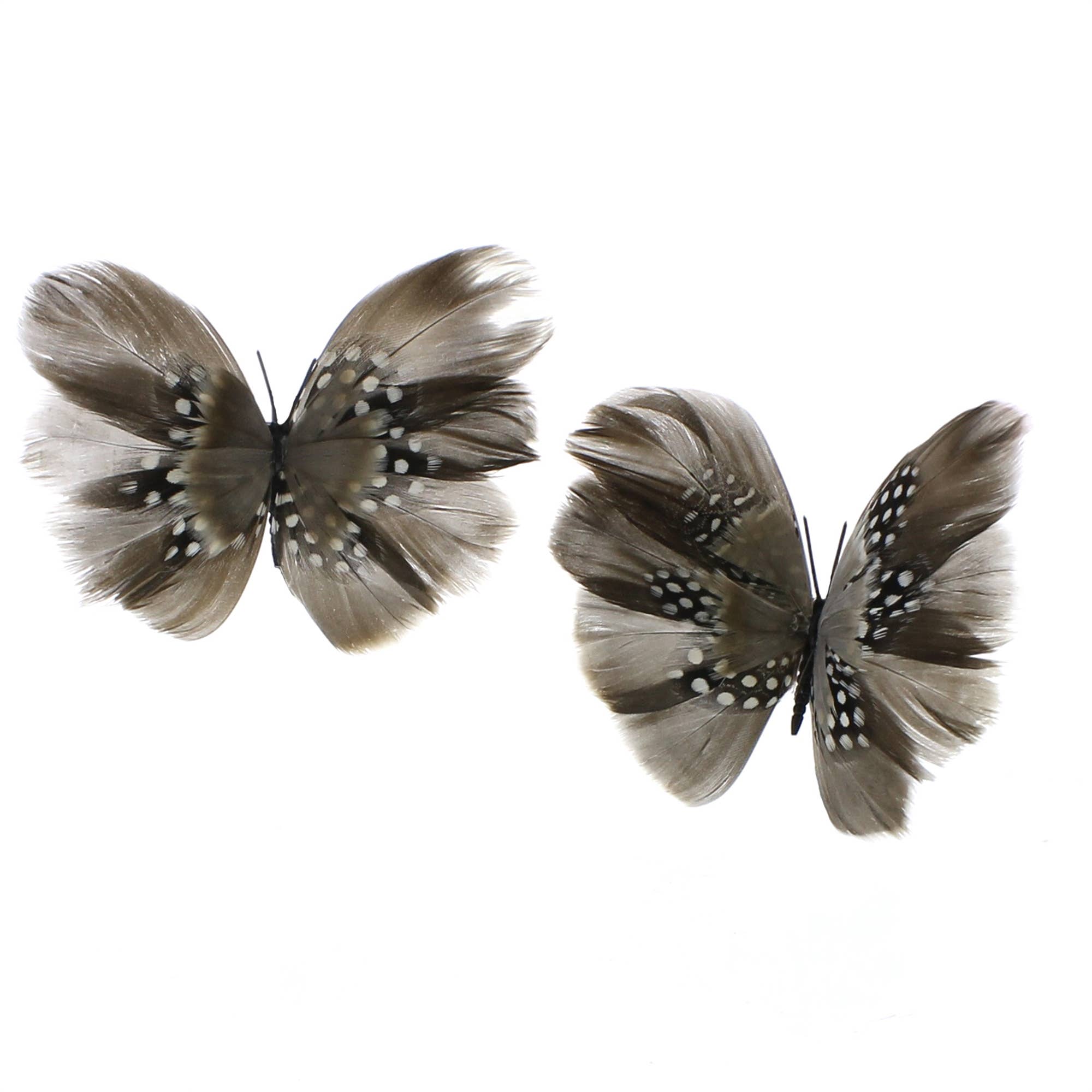 Feather Butterflies Hat Clip