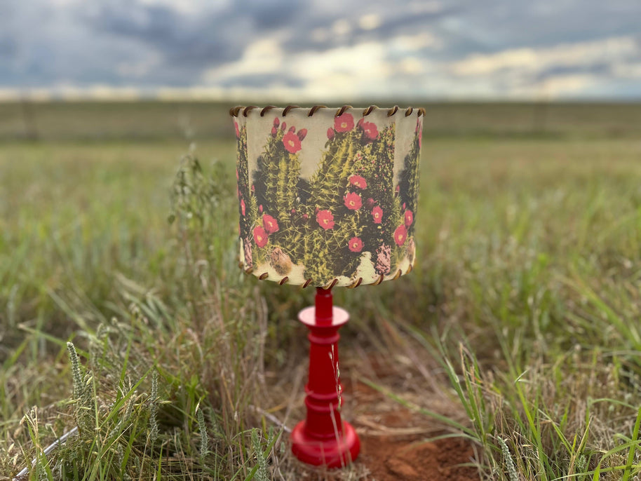 Lampshade White Sands Cactus, 11-14 inch