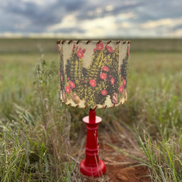 Lampshade White Sands Cactus, 11-14 inch