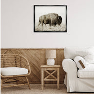 Bison Grazing in Field Floater Framed Art