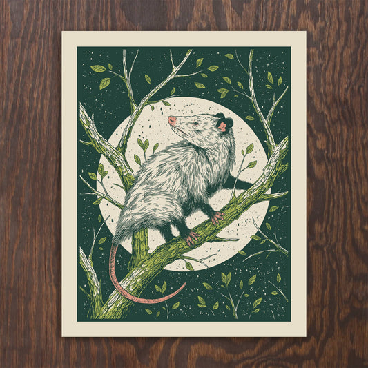 Opossum Screenprint