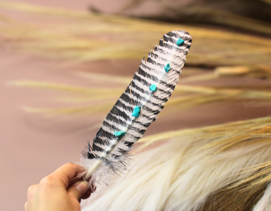 Turquoise Studded White Barred Turkey Feather