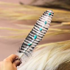 Turquoise Studded White Barred Turkey Feather