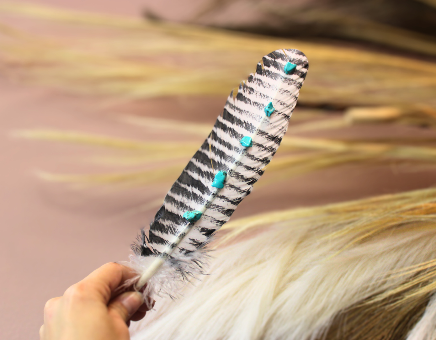 Turquoise Studded White Barred Turkey Feather