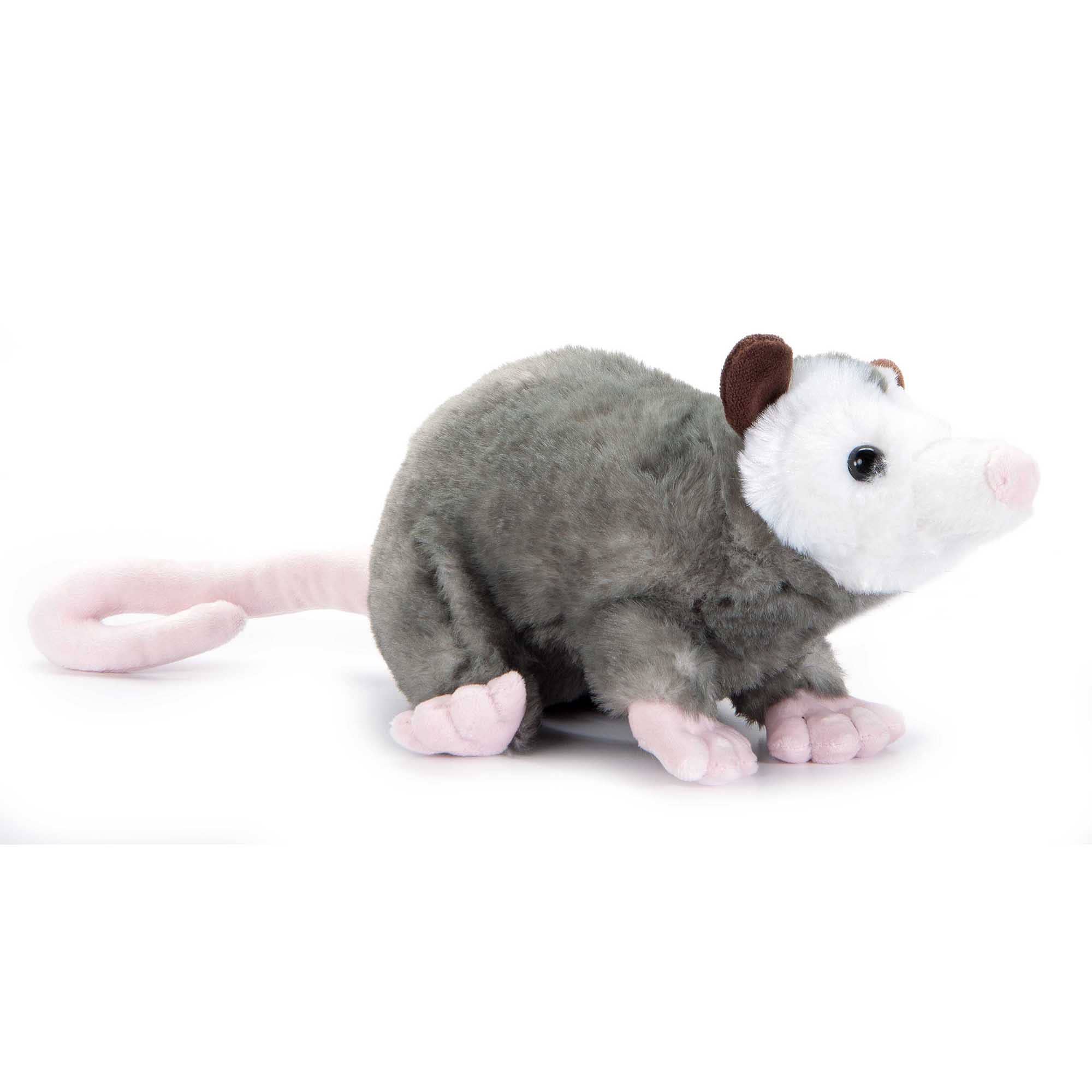 Wild Onez Possum 8