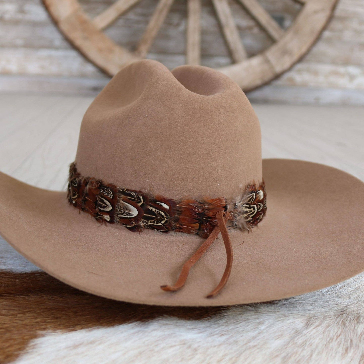 Western Feather Starling Hat Band