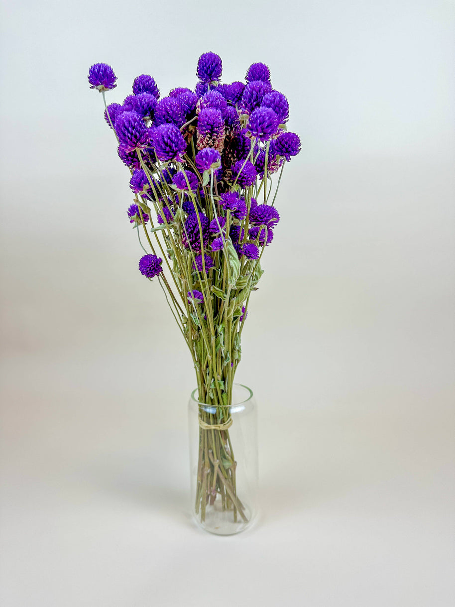 Purple Globe Amaranth – Naturally Dried Flowers