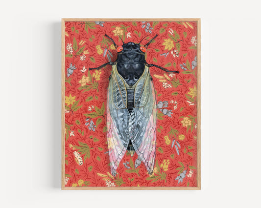 17 Year Cicada Red Fine Art Print