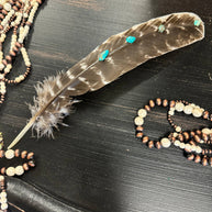 Turquoise Studded Natural Barred Turkey Feathers