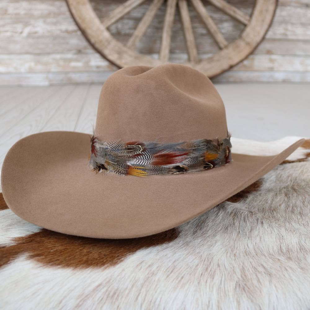 Western Feather Dripping Springs II Hat Band