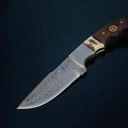 Damascus Knife with Walnut & Stag Horn Handle