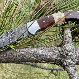 POCKET KNIFE WALNUT WOOD & STAG 6.5'' DAMASCUS STEEL TF-019