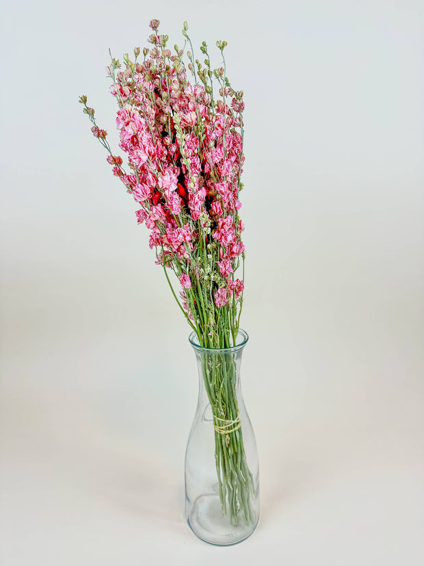 Larkspur - Carmine/Pink  Double Bloom Naturally Dried