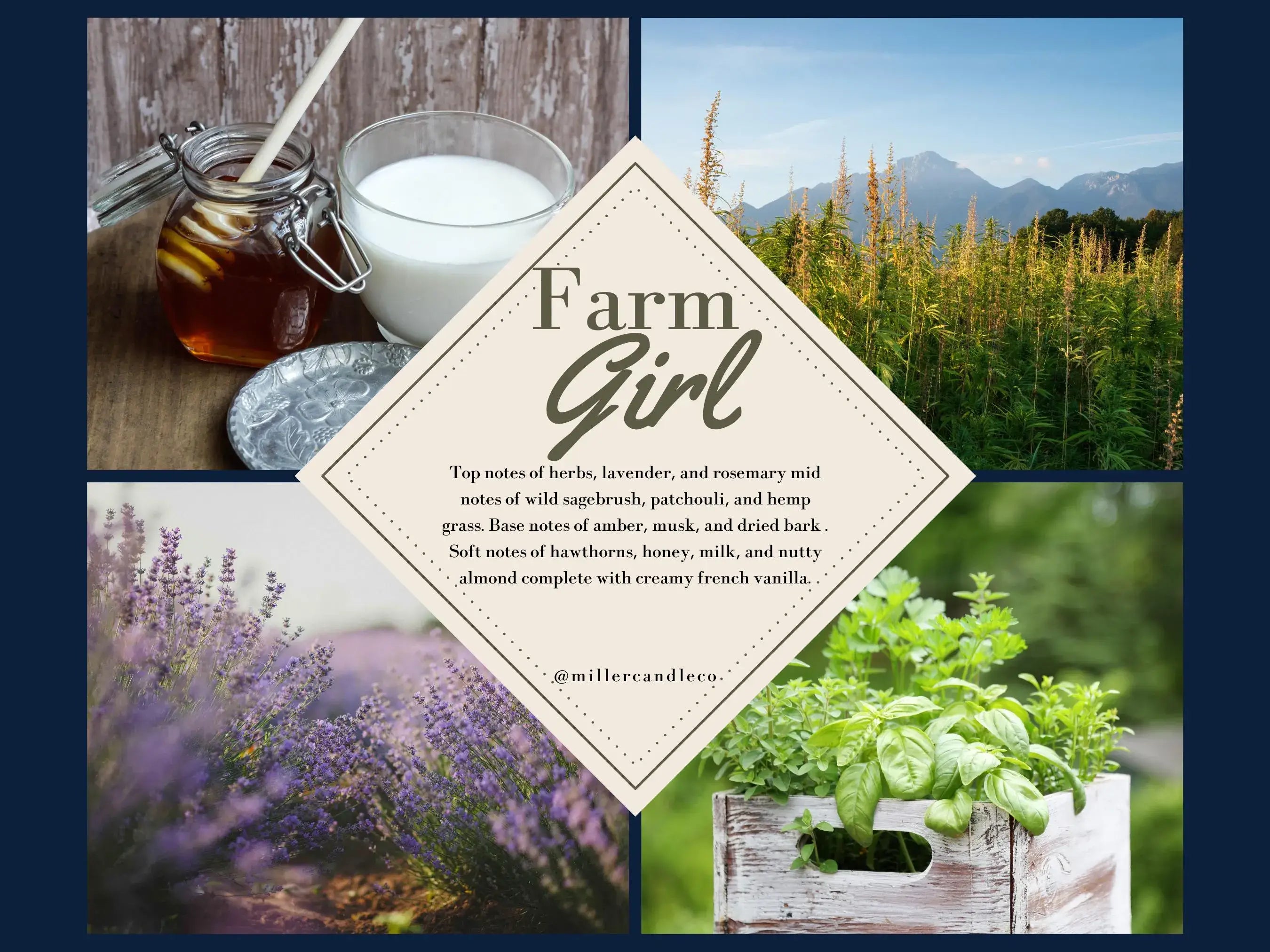 Barn & Hive Goat Milk Lotion