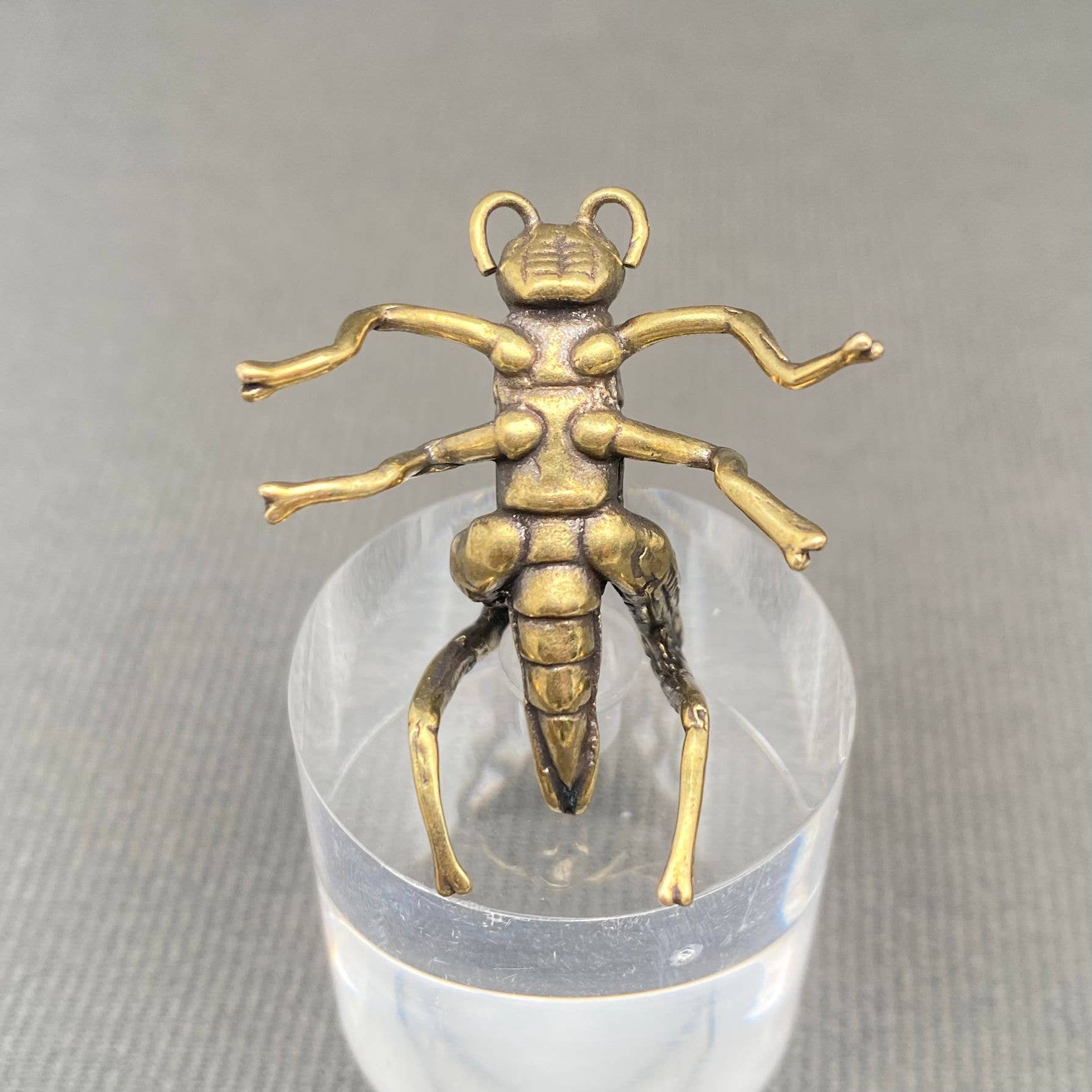 Brass Cricket