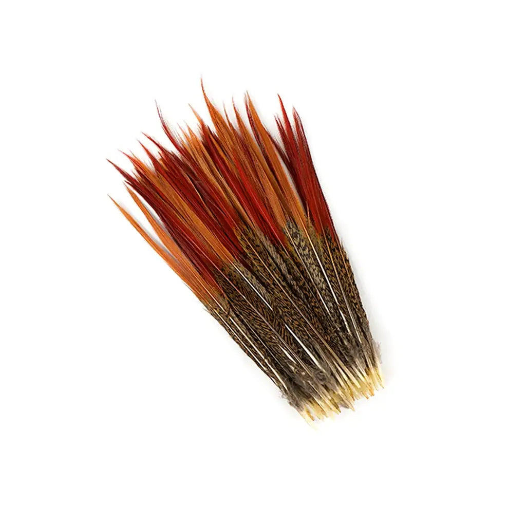 Golden Pheasant Red Top Tails 10-12"- Natural