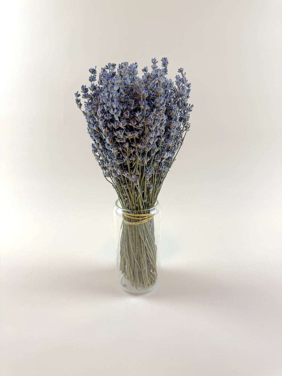 Light Blue Lavender – Naturally Air-Dried Florals