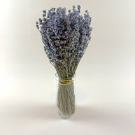 Light Blue Lavender – Naturally Air-Dried Florals