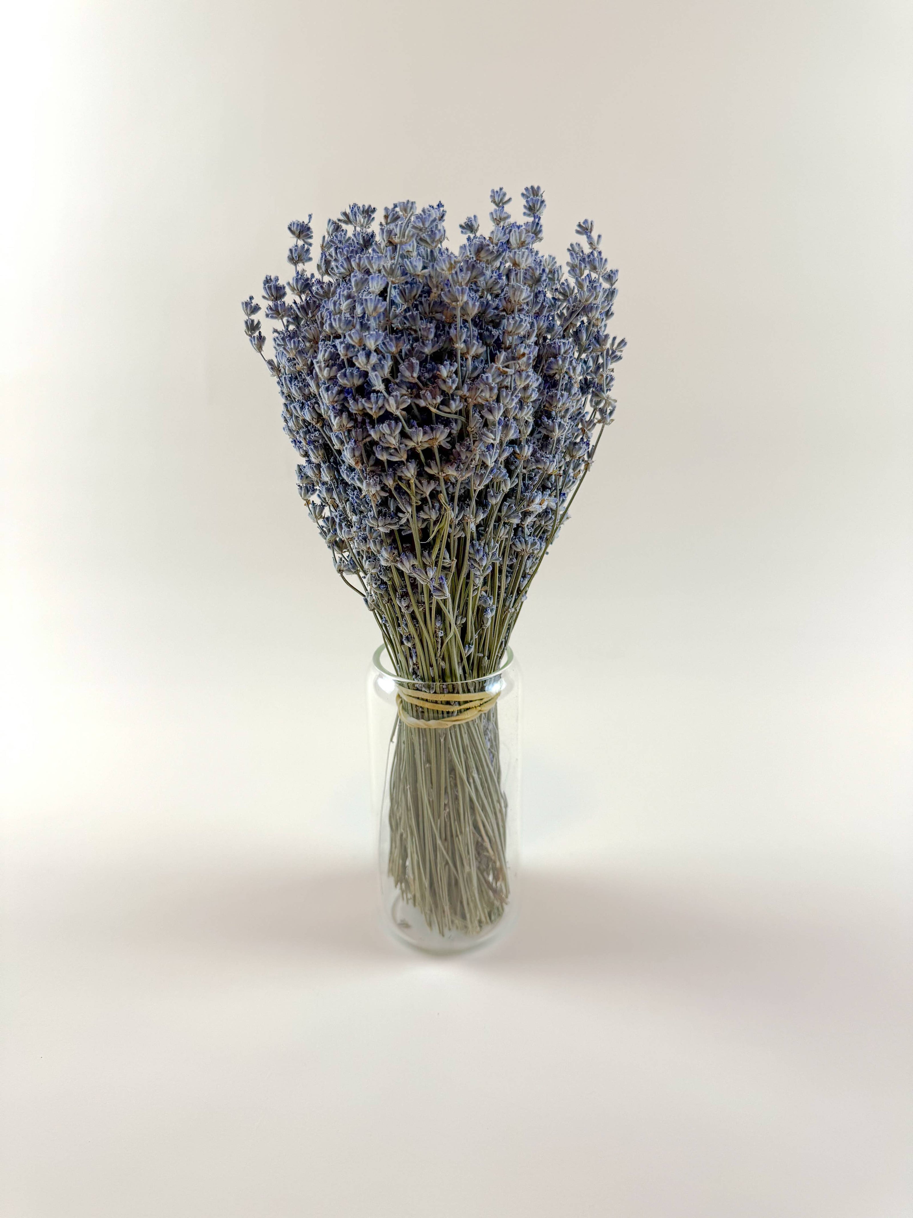 Light Blue Lavender – Naturally Air-Dried Florals