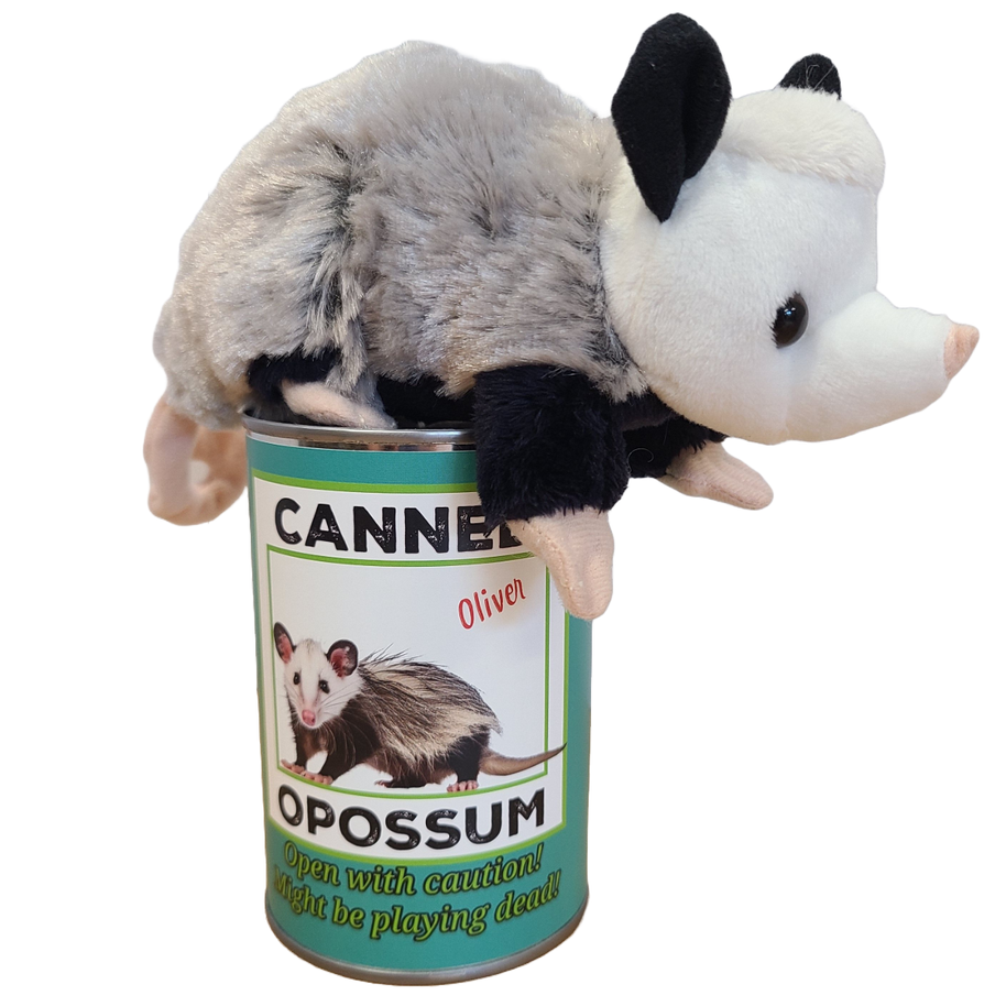 Oliver the Canned Opossum