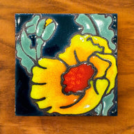 Desert Flora Coaster: Poppy Nature Gift (4.25