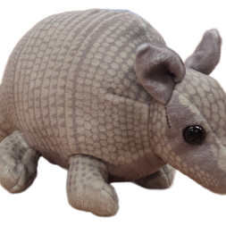 Paul the Canned Armadillo