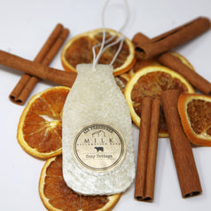 Car Air Freshener Hanging