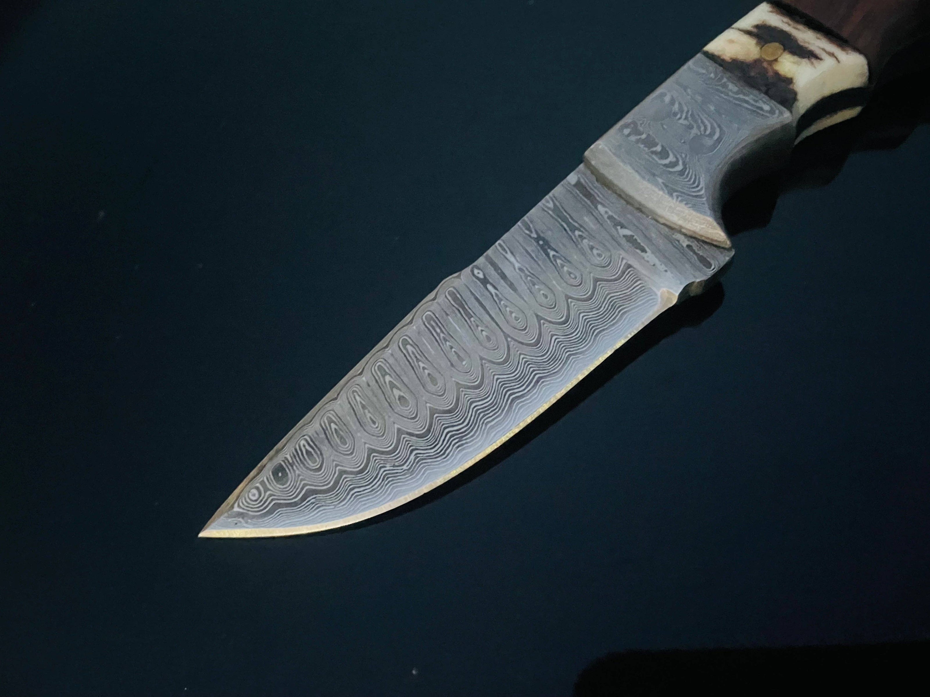 Damascus Knife with Walnut & Stag Horn Handle