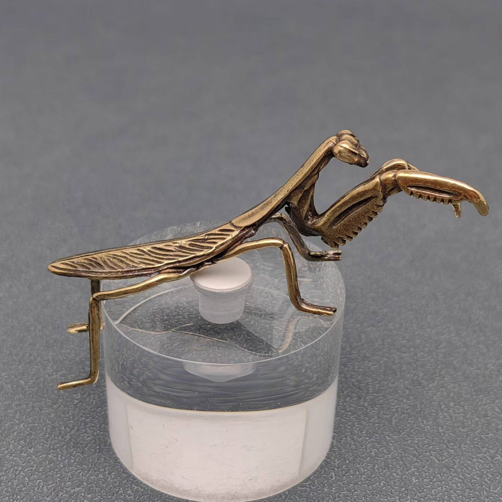 Brass Mantis