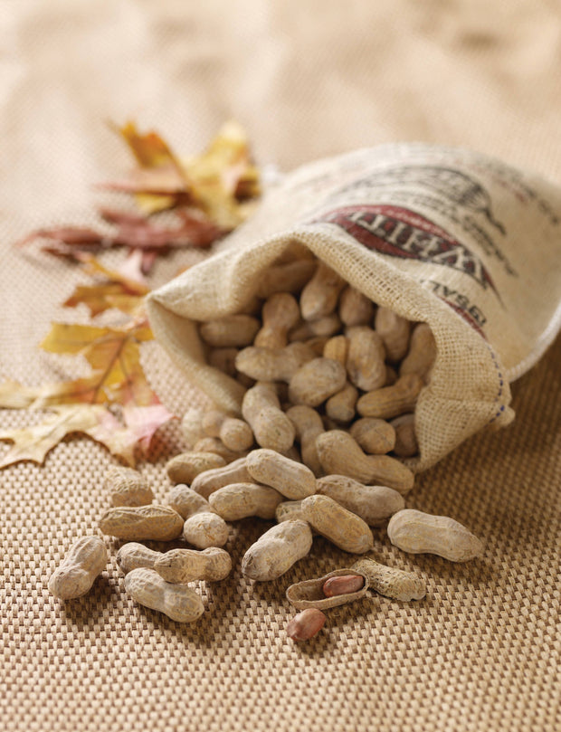 Burlap Bag Salted Roasted-n-Shell Peanuts, 12 oz.
