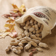 Burlap Bag Salted Roasted-n-Shell Peanuts, 24 oz.