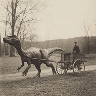 DinoCarriage Art Print