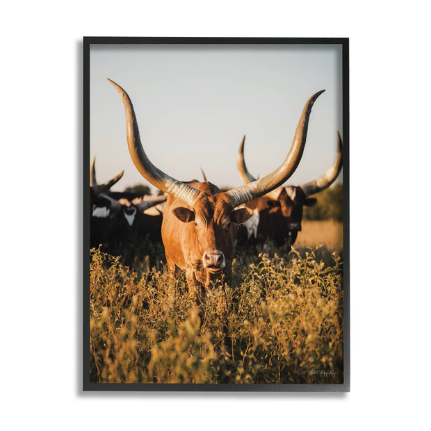 Longhorn Herd Photography Framed