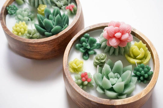 Candle Succulent Terrarium Bowls