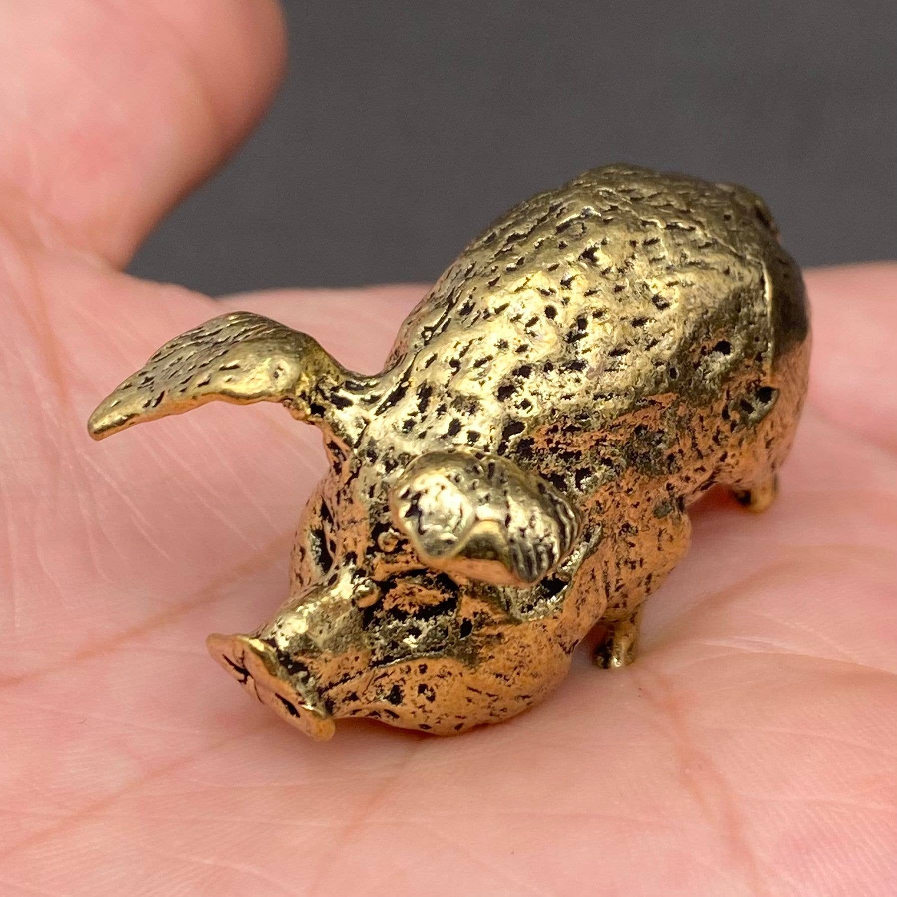 Brass Pig