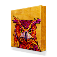 Owl Metal Box Art