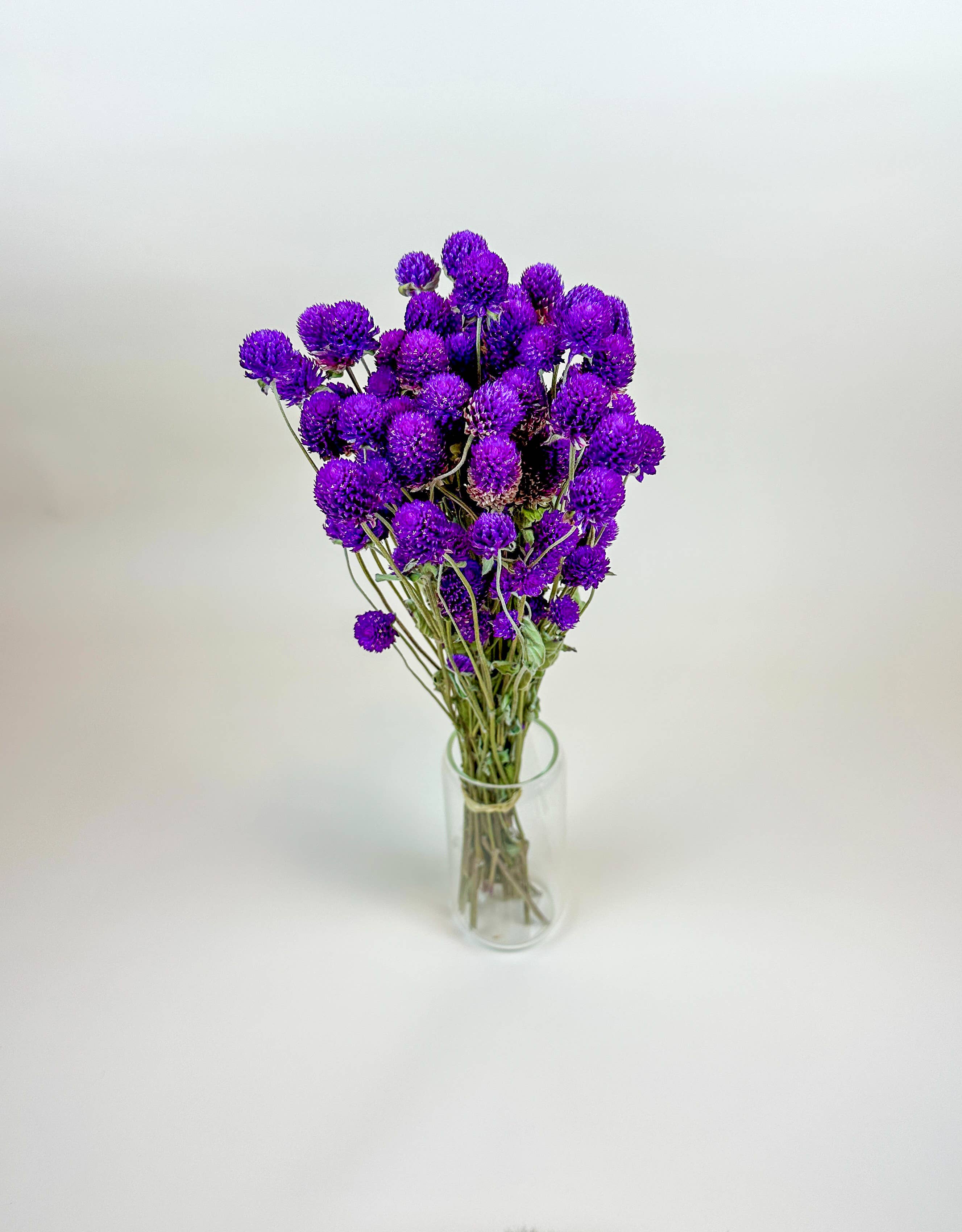 Purple Globe Amaranth – Naturally Dried Flowers